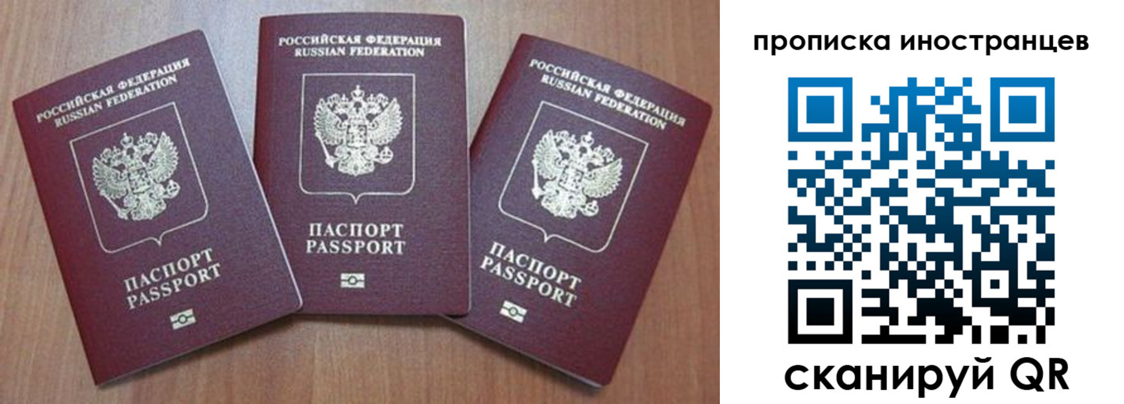 где прописаться в Ельне